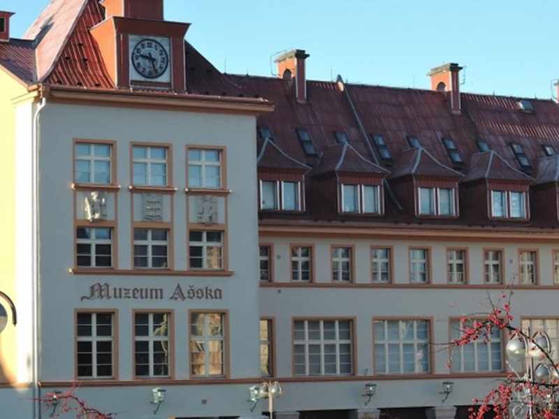 Muzeum Aš