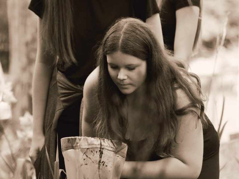 Slavkovský les 2025