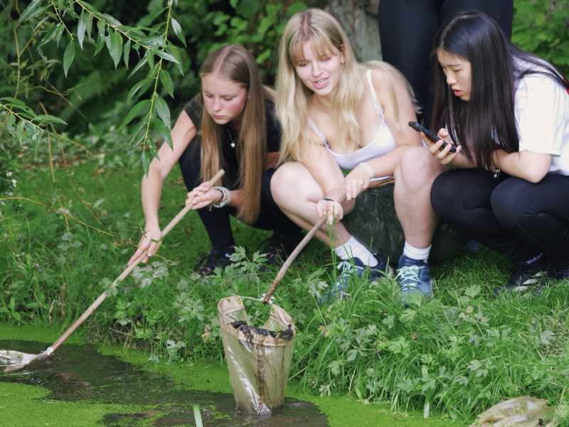 Slavkovský les 2025