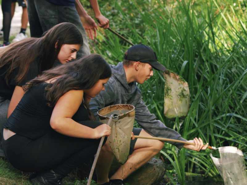 Slavkovský les 2025