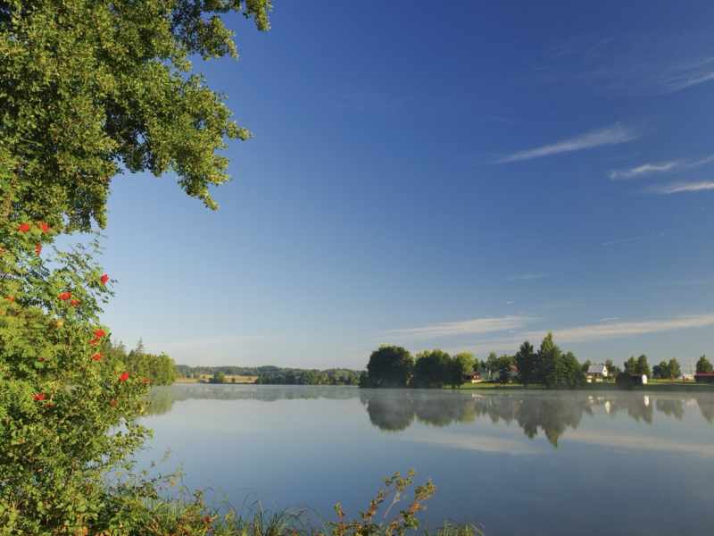 Slavkovský les 2025