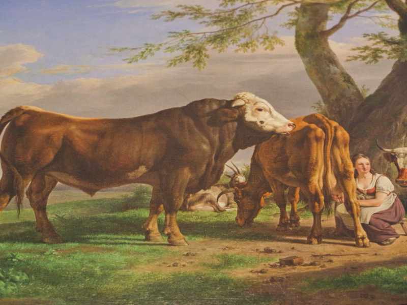 Slavkovský les 2025