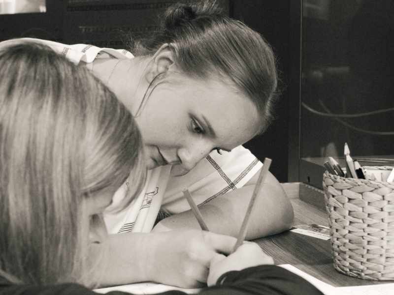 Slavkovský les 2025