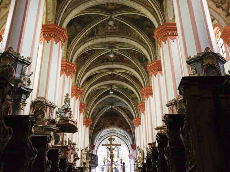 Slavkovský les 2025