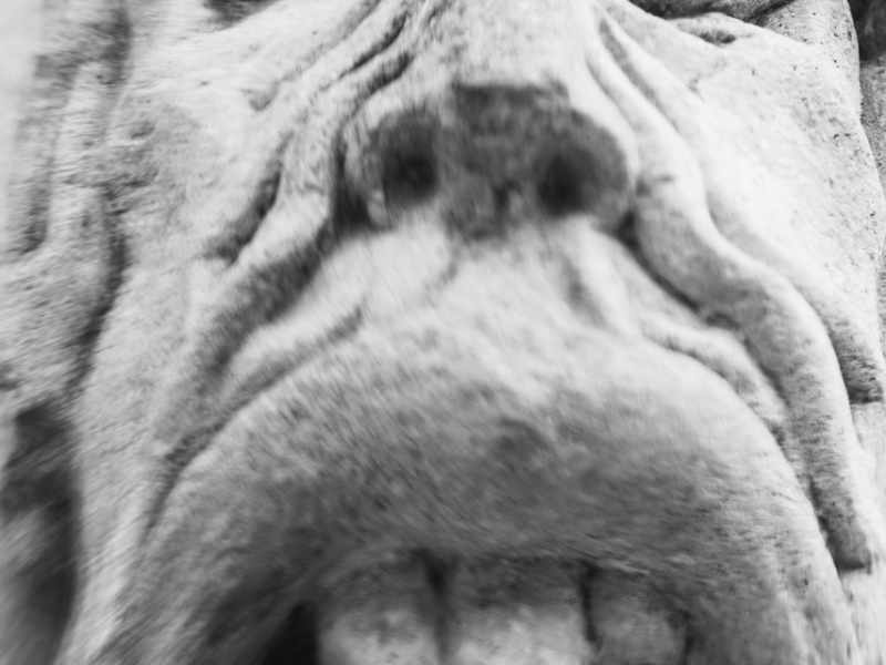 Slavkovský les 2025